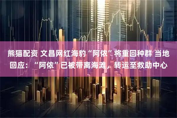 熊猫配资 文昌网红海豹“阿侬”将重回种群 当地回应：“阿侬”已被带离海滩，转运至救助中心