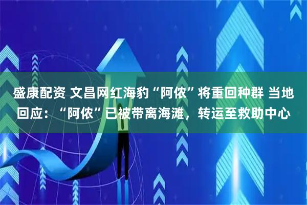 盛康配资 文昌网红海豹“阿侬”将重回种群 当地回应：“阿侬”已被带离海滩，转运至救助中心