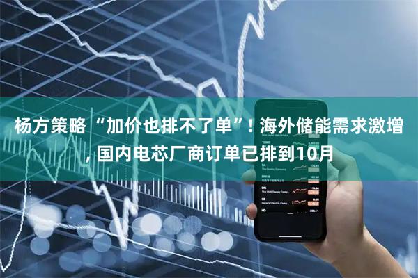 杨方策略 “加价也排不了单”! 海外储能需求激增, 国内电芯厂商订单已排到10月