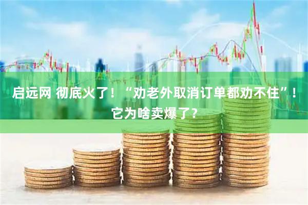 启远网 彻底火了！“劝老外取消订单都劝不住”！它为啥卖爆了？