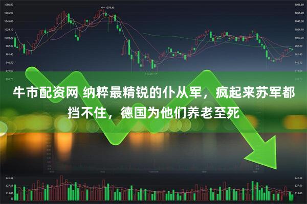 牛市配资网 纳粹最精锐的仆从军，疯起来苏军都挡不住，德国为他们养老至死