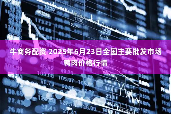 牛商务配资 2025年6月23日全国主要批发市场鸭肉价格行情