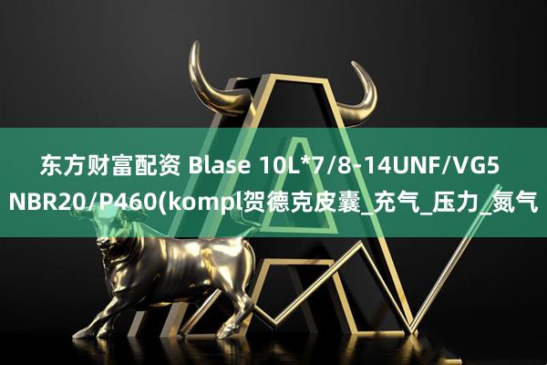 东方财富配资 Blase 10L*7/8-14UNF/VG5 NBR20/P460(kompl贺德克皮囊_充气_压力_氮气